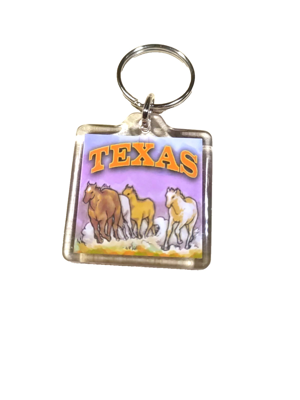 Texas Acrylic Keychain Horses Souvenir